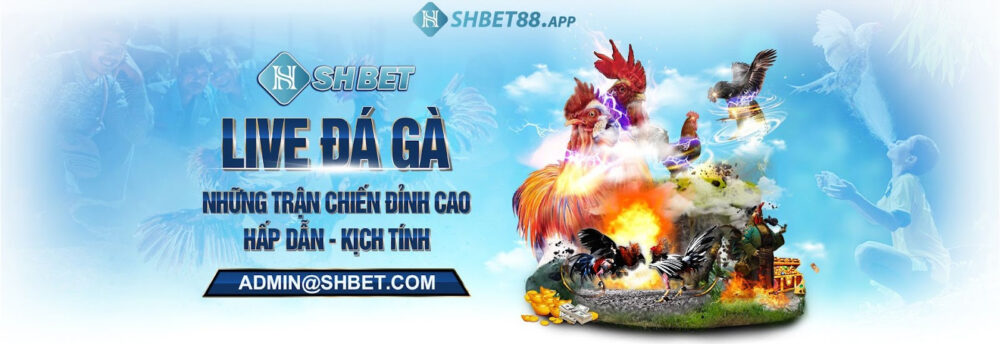 Giao diện Shbet dễ sử dụng